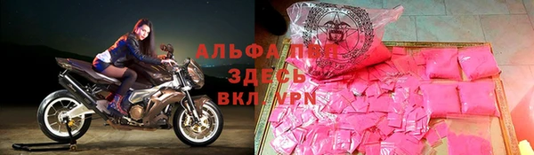 ECSTASY Новозыбков