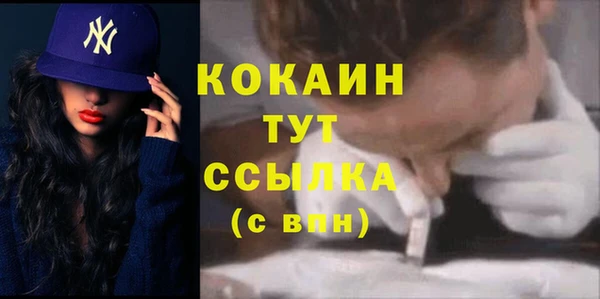 PSILOCYBIN Усинск